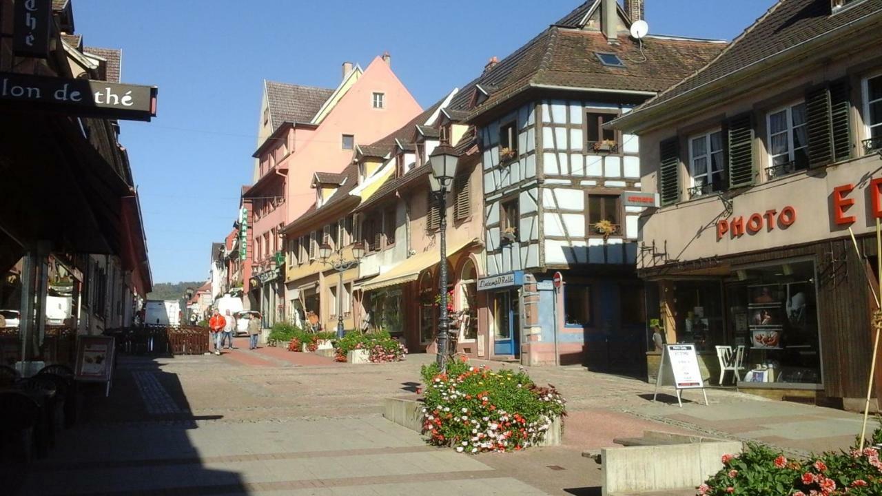 Maison Bleue Leilighet Saverne Eksteriør bilde
